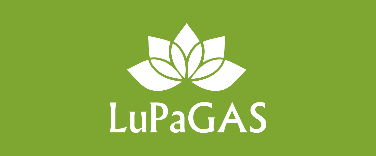 La Historia y Significado Detrás de Nuestra Imagen l LuPaGAS